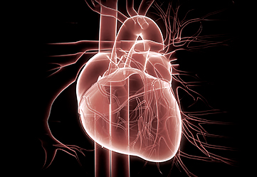 Хроническая сердечная недостаточность классификация мкб 10 thumbnail