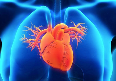 Классификация сердечной недостаточности по killip при инфаркте миокарда thumbnail