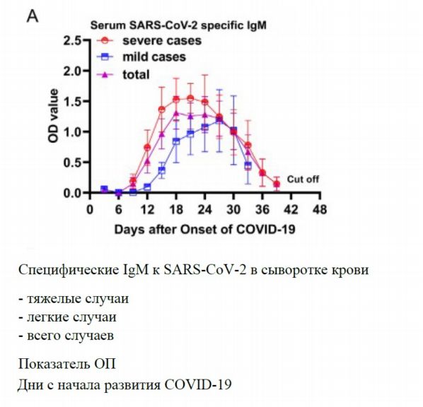 Количество антител коронавируса. Антитела IGM IGG шкала. Антитела SARS-cov-2 (Covid-19), IGG 25. Антитела SARS-cov-2 (Covid-19), IGG 1600. Уровень антител IGG К коронавирусу.