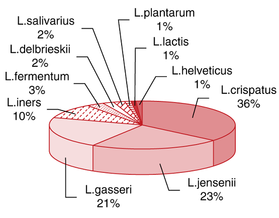 Частота обнаружения различных видов лактобацилл